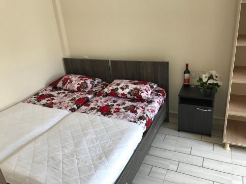 Hostal Guest House Chexovi 24