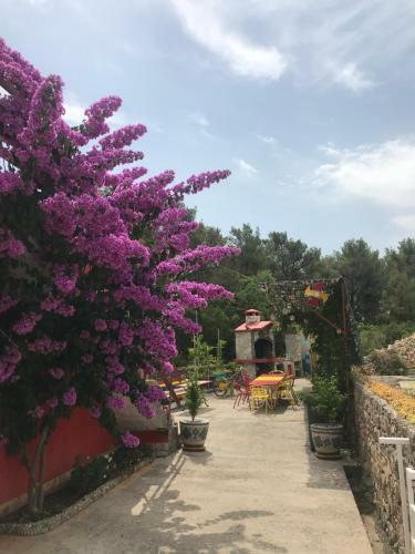 Apartamento Lipovac Resort Ficus