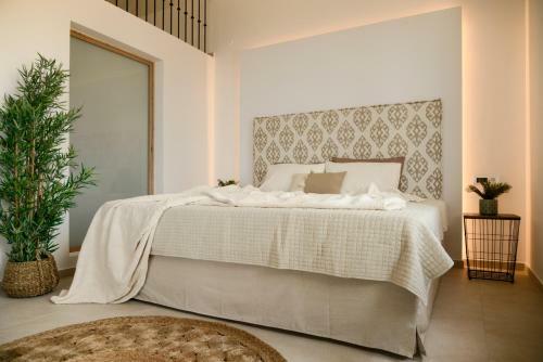 Mooood B&B