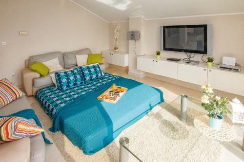 Novi Paradise Villa