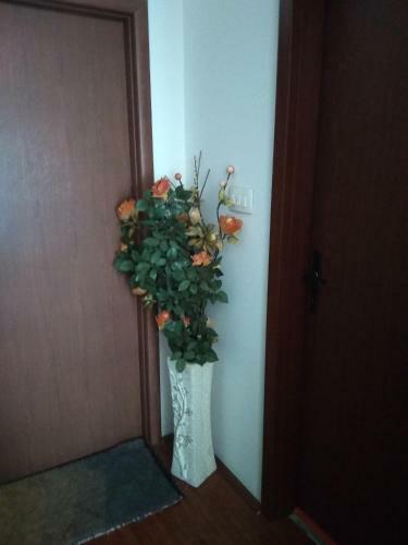 Hostal Buric Rooms