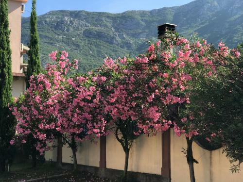 Apartamento Villa Laguna