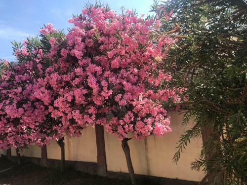Apartamento Villa Laguna