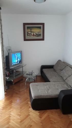 Apartment Raonic