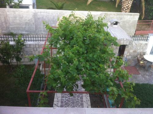 Apartments Avdic