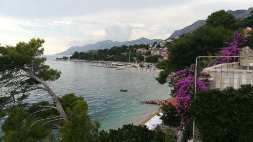 Apartamento Sea Paradise