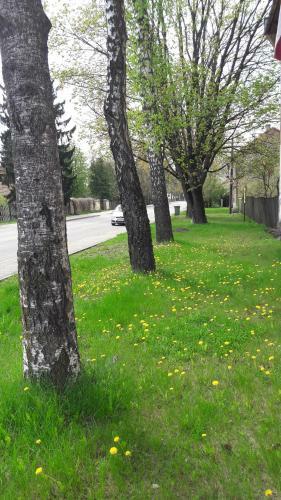 Apartamento Kalnciema Romantika