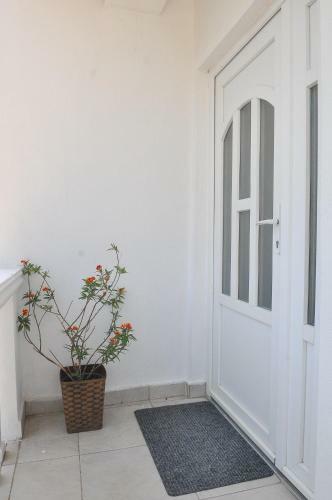 Hostal Guest House Markovi?