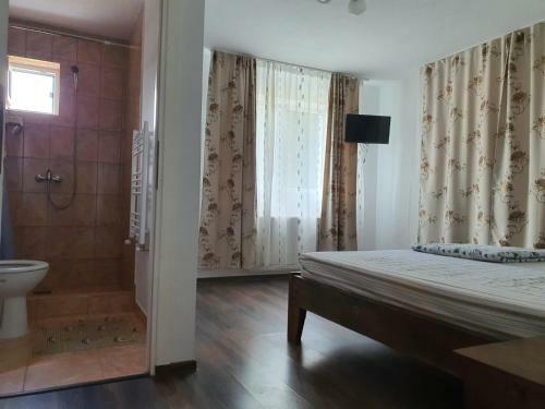 Hostal Pensiunea Ovidiu