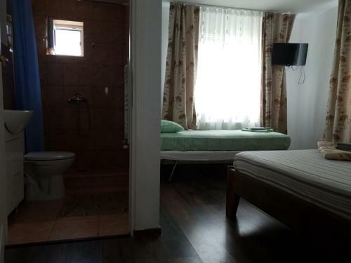 Hostal Pensiunea Ovidiu