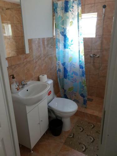 Hostal Pensiunea Ovidiu