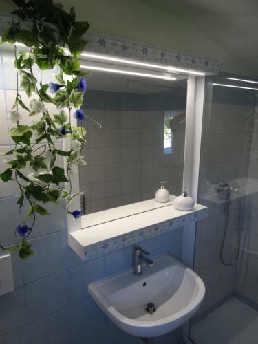 Apartma Na Trati