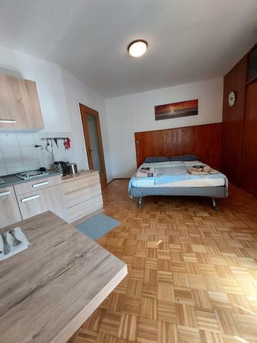 Apartamento Izola Holiday