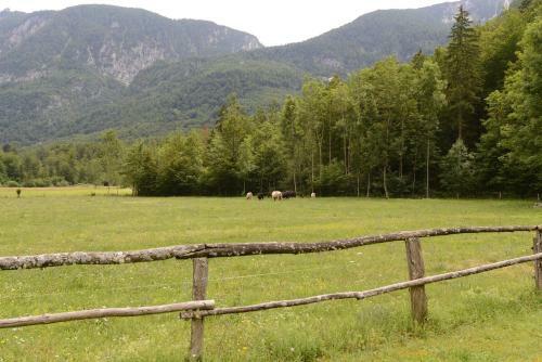 Apartamento Me?nar's Beautiful Nature Holiday House Ukanc