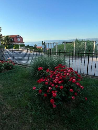 Seaview Apartments