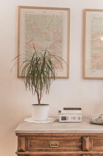 Bed & Breakfast Gorska Ro?a