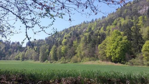 Apartamento Ferienhaus Golfblick