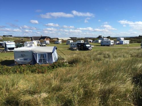 Dancamps Holmsland (camp Site)