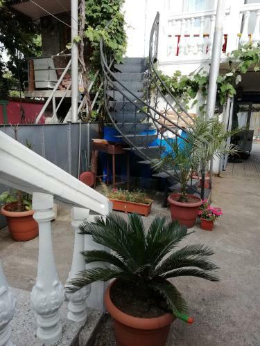 Hostal Lile