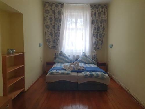 Hostal Pensiunea Schwartzy