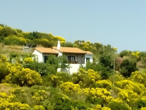 Villa Tsouredo