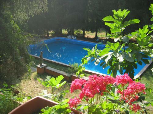 Bed And Breakfast Monticelli
