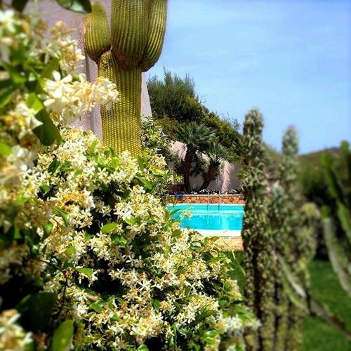 Bed & Breakfast Appartamento Mariposa
