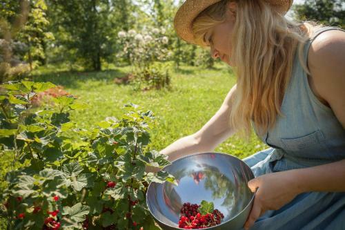 Agroturismo Settecentoalberi