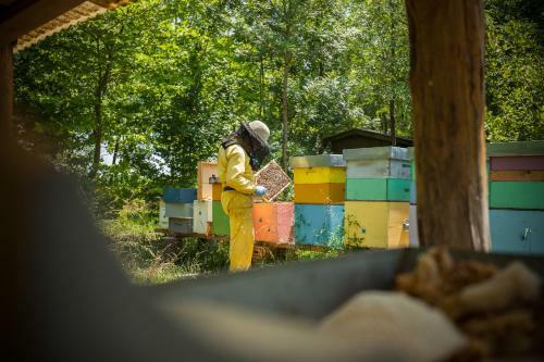 Agroturismo Settecentoalberi