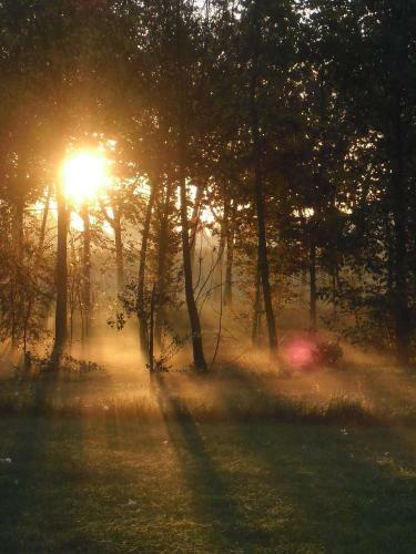 Agroturismo Settecentoalberi