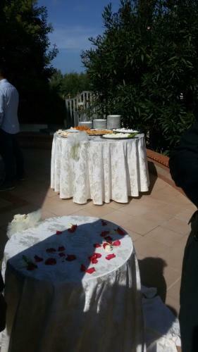 B&B Belvedere