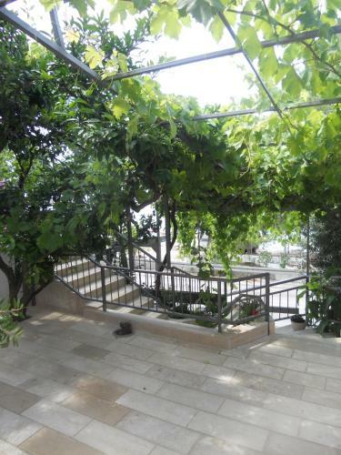 Apartments Nela