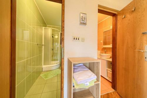 Apartment Ivana