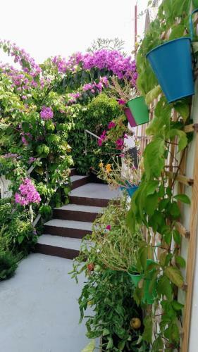 Apartmani Branko Kuzmicic