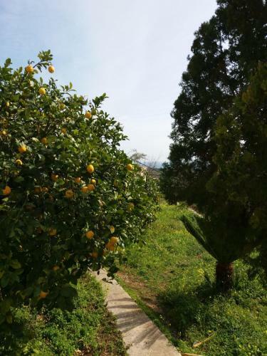 Agroturismo Sentiero Della Natura