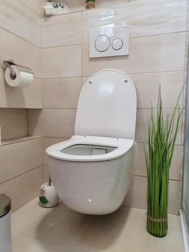 Apartman Mara