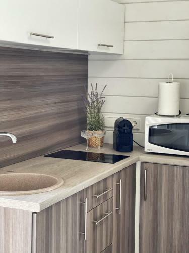 Apartamento Pilkas Namelis - Nameli? Nuoma ?ventojoje