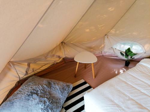 Bohostay Stovyklaviet? Glamping