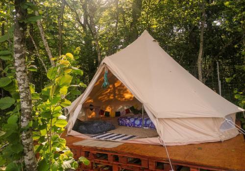 Bohostay Stovyklaviet? Glamping