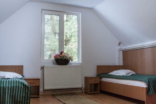 Motel Valea Zanelor