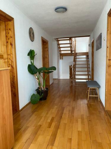 Hostal Vila San Nicoara