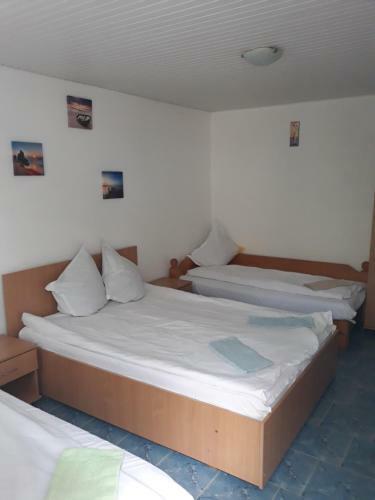 Hostal Casa De Vacanta Alexoiu 2 Mai