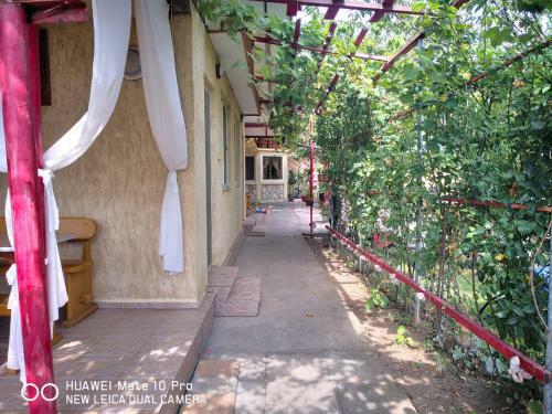 Hostal Casa De Vacanta Alexoiu 2 Mai