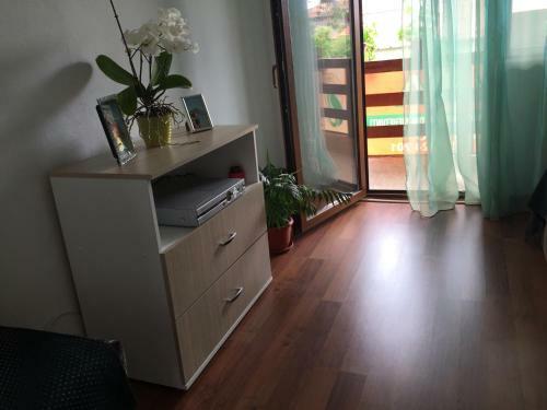 Hostal Casa Elena Eselnita