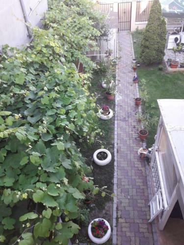 Apartamento Cazare La Mare