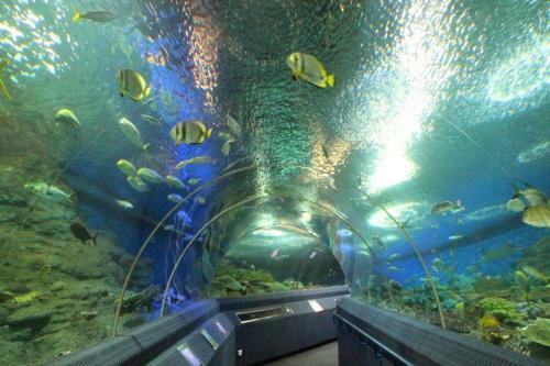 Hotel Oyo 1126 Curve Boutique Pattaya