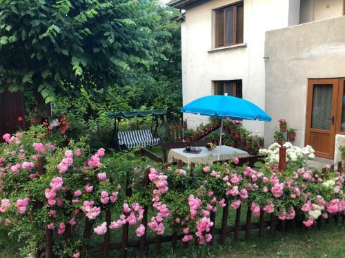 Hostal Guest House Emmy