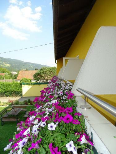 Hotel Gasthof Torwirt