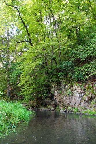Camping Fox ?esk� Krumlov