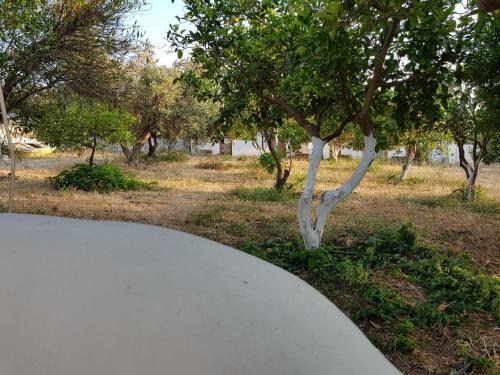 Agroturismo Agrabely